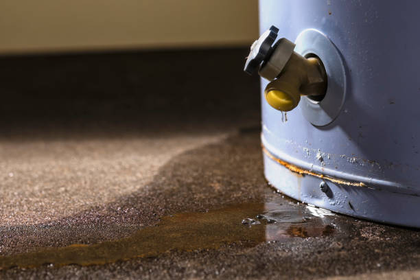 Best 24-hour water damage restoration  in New Hope, MN