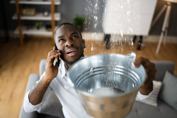 Best 24/7 water damage repair  in New Hope, MN