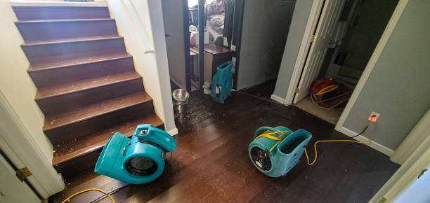 Best 24/7 water damage repair  in New Hope, MN