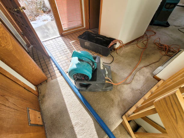 Best Carpet water damage restoration  in New Hope, MN