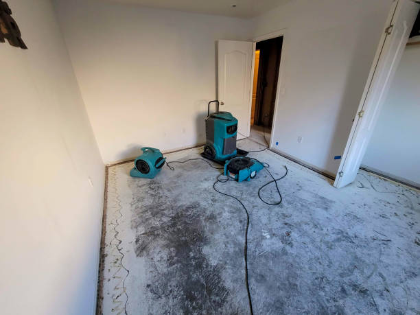 Best Local water damage restoration  in New Hope, MN