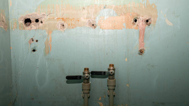 Local water damage restoration in New Hope, MN