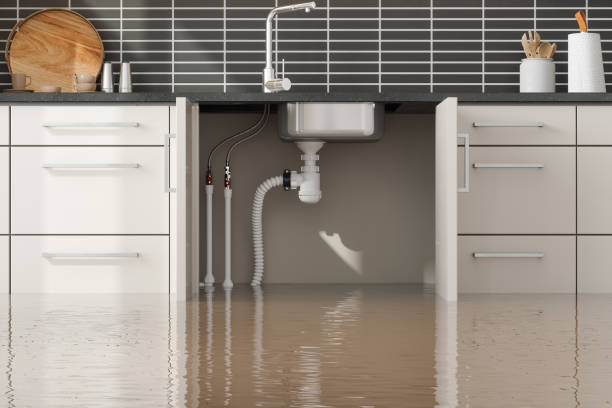Best Flooded house restoration  in New Hope, MN